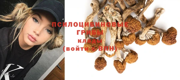 соль ск Медногорск
