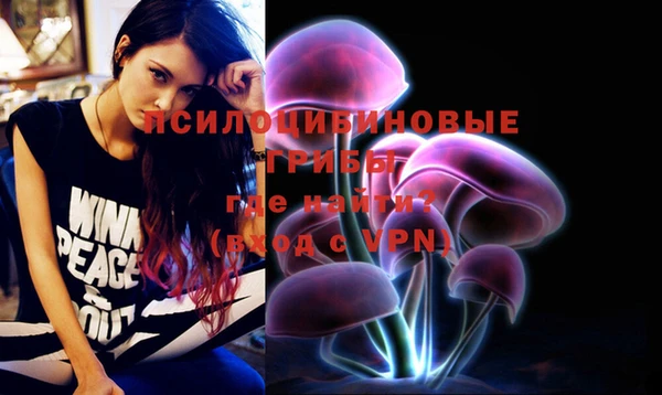 экстази Медвежьегорск