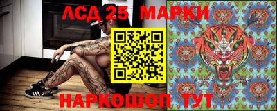 a pvp Донской