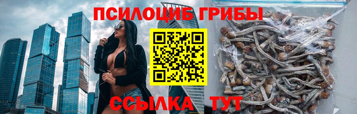 Псилоцибиновые грибы Magic Shrooms  Кизилюрт  Галлюциногенные грибы MAGIC MUSHROOMS 