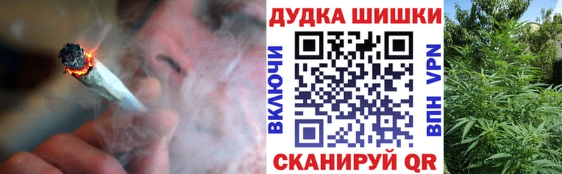 Бошки Шишки семена Кизилюрт